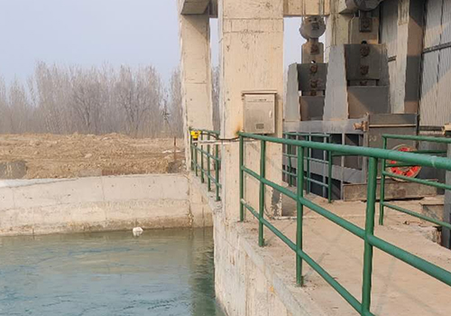 176336018947664.jpg 500-2.jpg