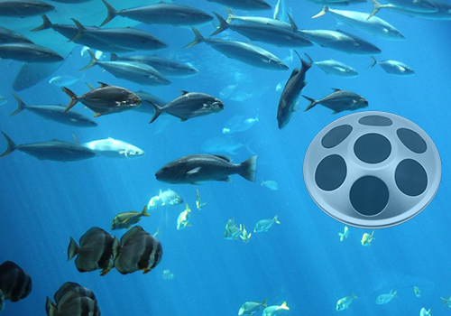 網(wǎng)箱點魚器 網(wǎng)箱點魚器