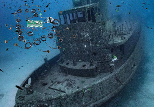 176335064839568.jpg 500.jpg